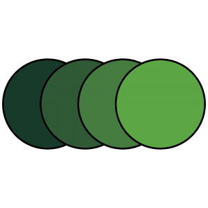 animatie